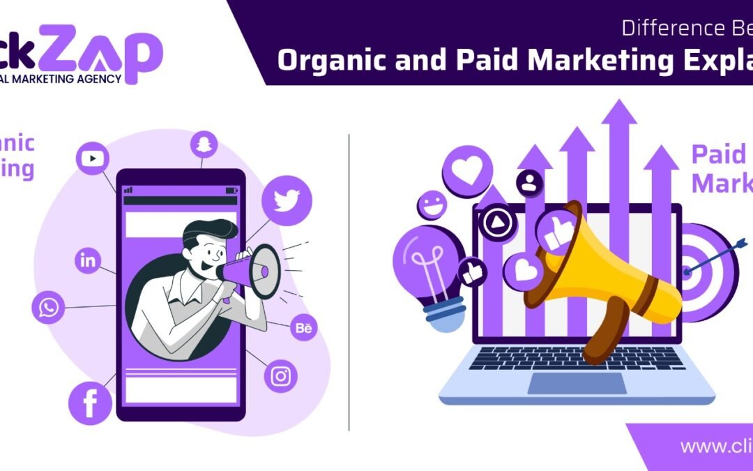 Difference Between Organic and Paid Marketing Explained