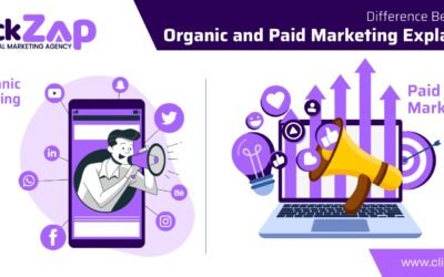Difference Between Organic and Paid Marketing Explained